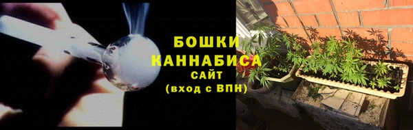 PSILOCYBIN Гусиноозёрск