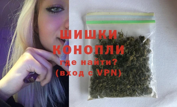 PSILOCYBIN Гусиноозёрск
