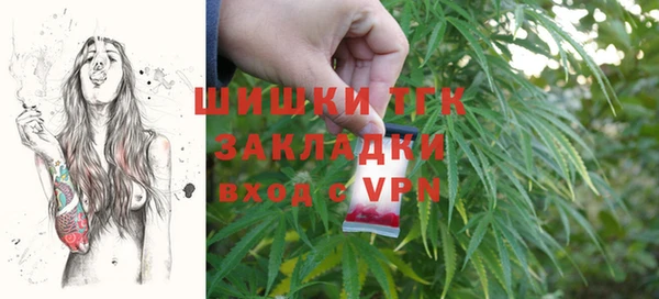 PSILOCYBIN Гусиноозёрск