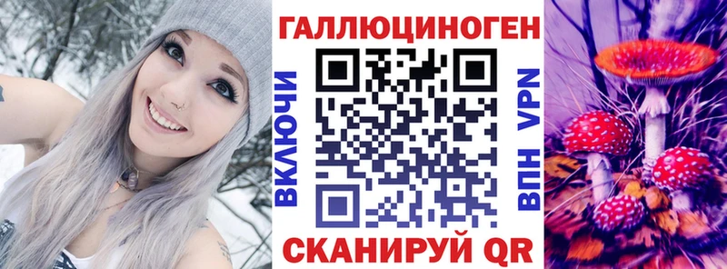 hydra вход  купить  цена  Малгобек  Псилоцибиновые грибы мухоморы 